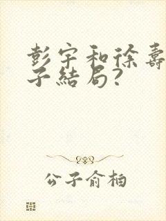 彭宇和徐寿兰儿子结局?