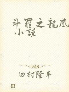 斗罗之龙凰传说 小说