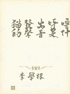 猫发出呼噜呼噜的声音是什么原因封面