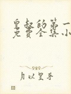 皇叔的第一宠妃免费全集小说封面