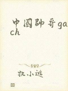 中国帅哥gaych