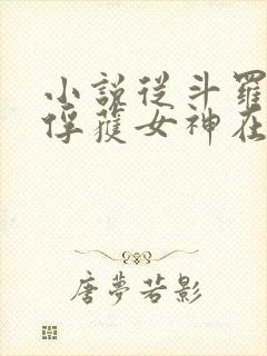 小说从斗罗开始俘获女神在线阅读