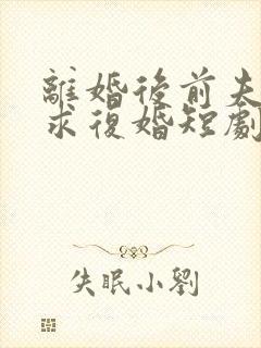 离婚后前夫哭着求复婚短剧