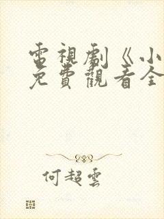 电视剧《小舅》免费观看全集高清封面
