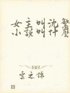女主叫沈繁星的小说叫什么名字封面