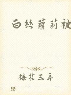 白丝萝莉被入封面