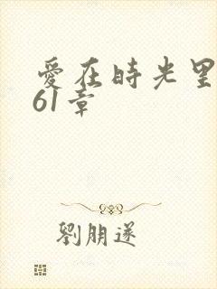 爱在时光里流转61章