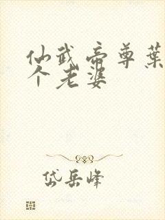 仙武帝尊叶辰几个老婆封面