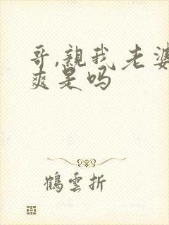 哥,亲我老婆很爽是吗