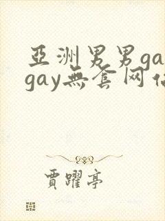亚洲男男gaygay无套网站