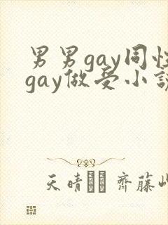 男男gay同性gay做受小说