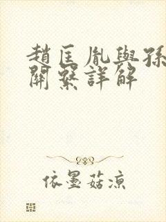 赵匡胤与孙太真关系详解封面
