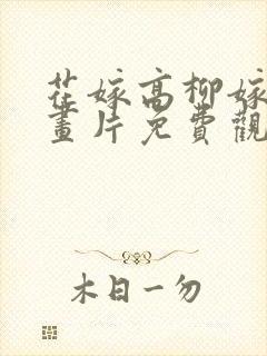 花嫁高柳嫁家动画片免费观看