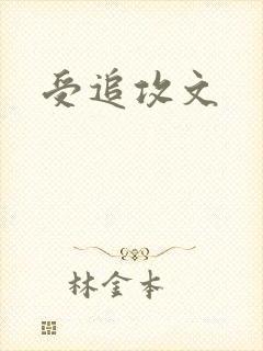 受追攻文