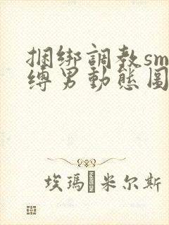 捆绑调教sm束缚男动态图封面
