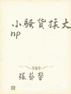 小骚货揉大奶子np封面