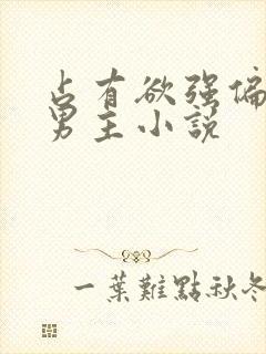 占有欲强偏执双男主小说