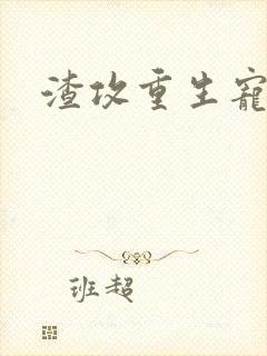 渣攻重生宠受文