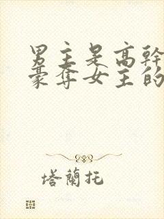 男主是高干强取豪夺女主的小说封面