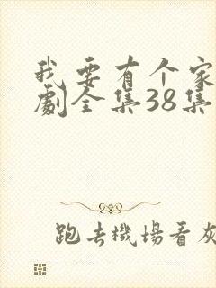 我要有个家电视剧全集38集免费观看封面