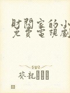 财阀家的小儿子免费电视剧