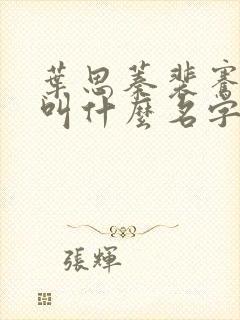 叶思蓁裴骞小说叫什么名字