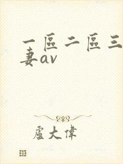 一区二区三区人妻av