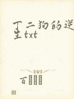 丁二狗的逆袭人生txt
