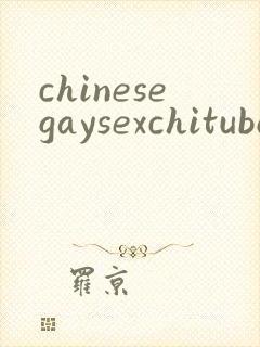 chinesegaysexchituboy封面