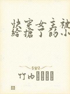 快穿女主被反派给抢了的小说
