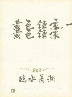 黄色录像,一级黄色录像