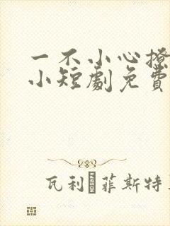一不小心撩错人小短剧免费看