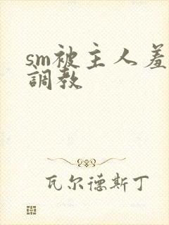 sm被主人羞辱调教