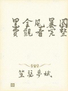 黑金风暴国语免费观看完整版
