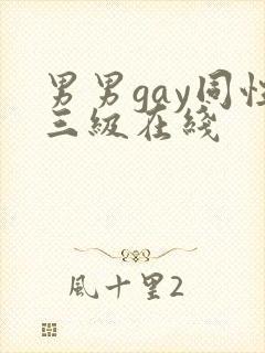 男男gay同性三级在线封面