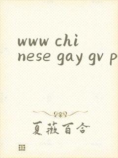 www chinese gay gv pron封面