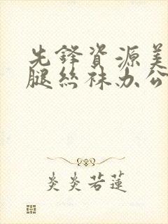 先锋资源美妇美腿丝袜办公室