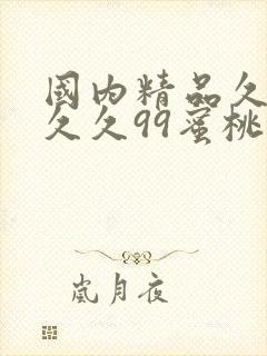 国内精品久久久久久99蜜桃