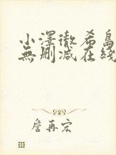 小泽彻希岛爱理无删减在线播放封面