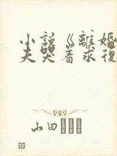 小说《离婚后前夫哭着求复婚》