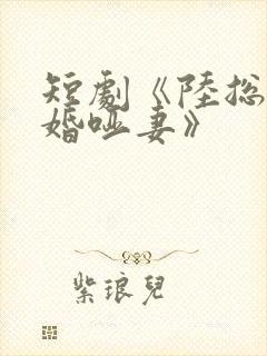 短剧《陆总的新婚哑妻》
