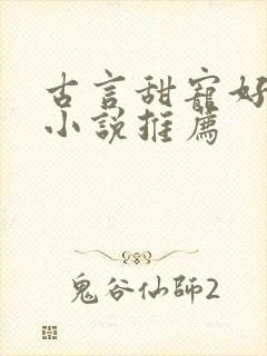 古言甜宠好看的小说推荐