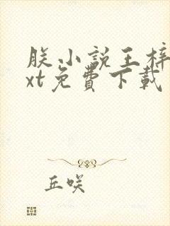 朕小说王梓钧txt免费下载