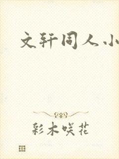 文轩同人小说
