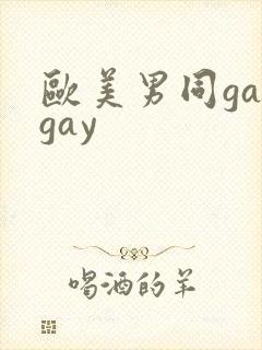 欧美男同gaygay
