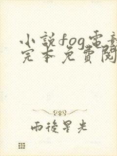 小说fog电竞完本免费阅读