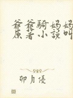 爷爷骑妈妈身上原著小说叫什么名字封面