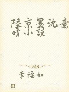 陆京墨沈意沈沐晴小说