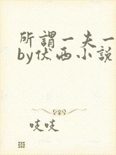 所谓一夫一妻制by伏西小说免费阅读