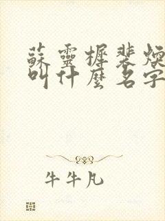 苏灵樨裴焕小说叫什么名字封面